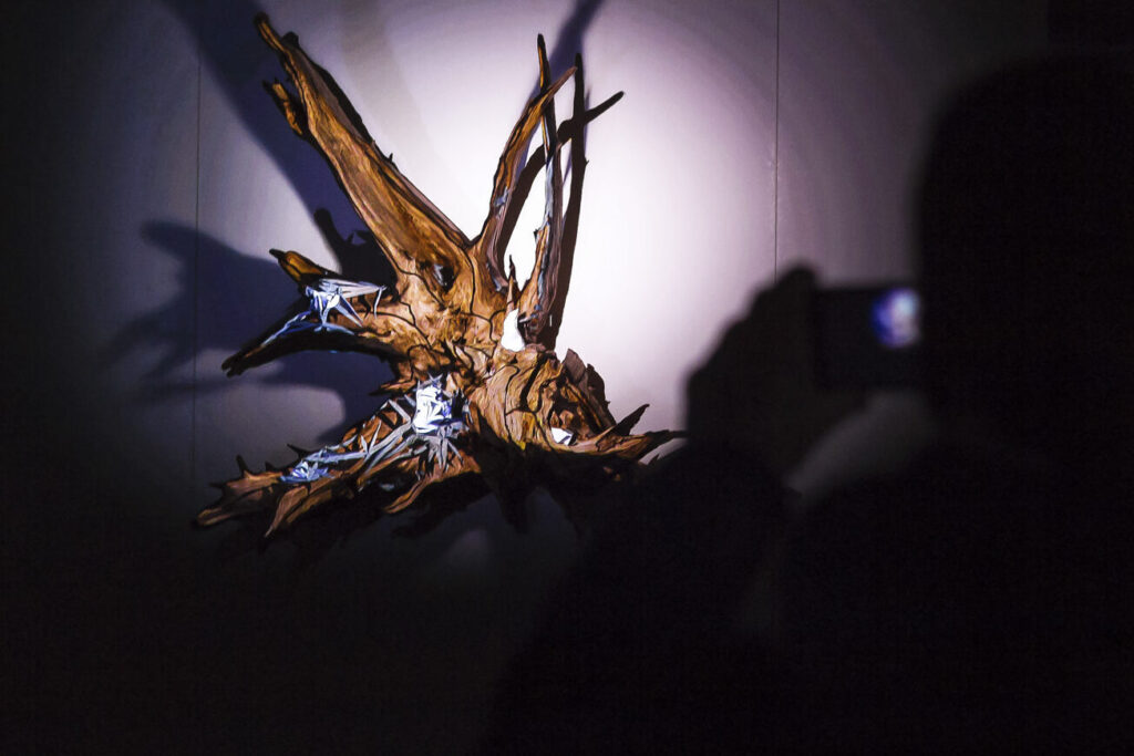 A wooden root is extended by projections.